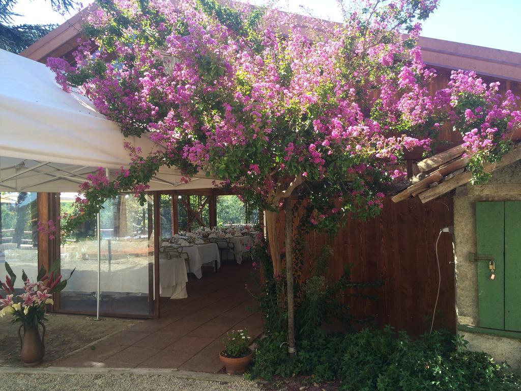 Agriturismo Ristorante Albachiara Villa Carpeneto Dış mekan fotoğraf